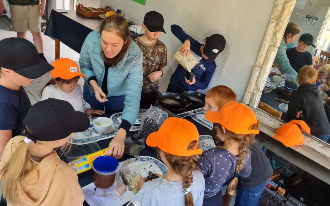 Die krag van natuurlikkemiddels